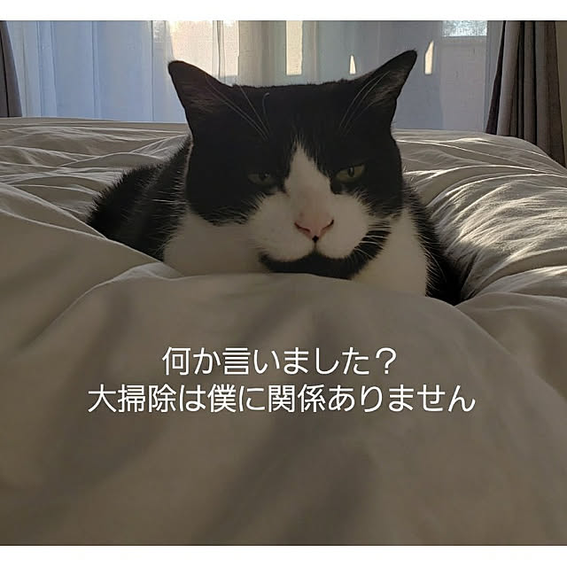 nyagosanさんの実例写真