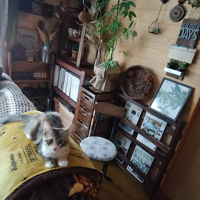 Brown.Lifeさんの実例写真