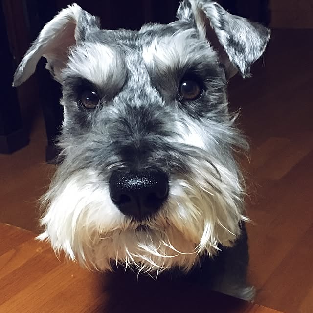 akeさんの実例写真
