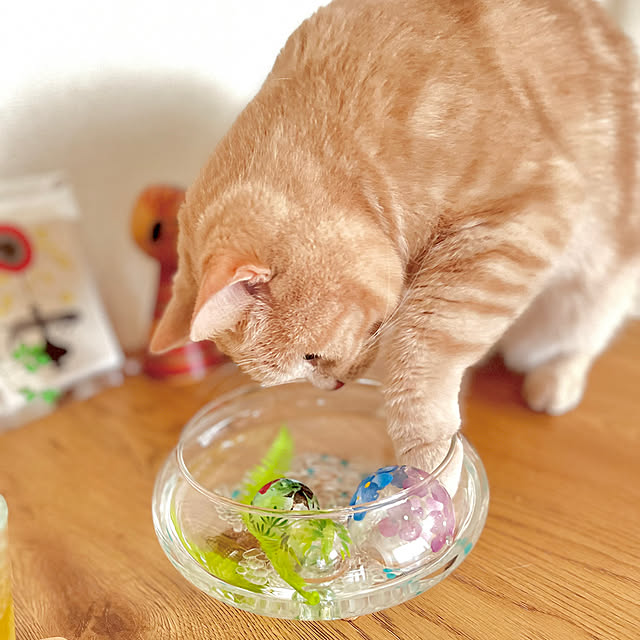 kiyomiさんの部屋