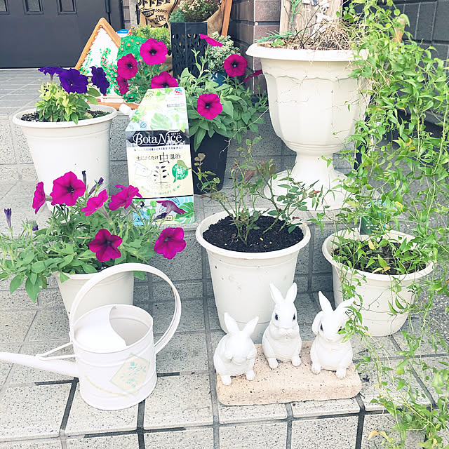 mieさんの実例写真