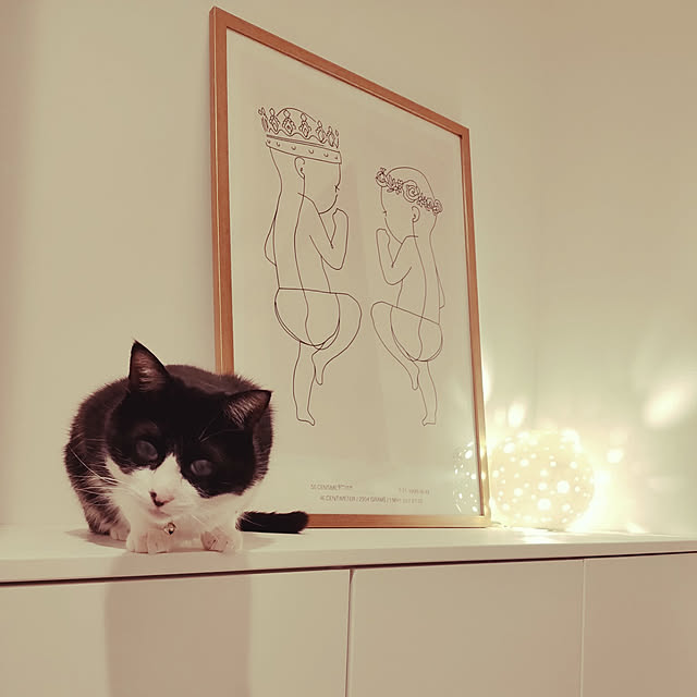uco....7さんの実例写真