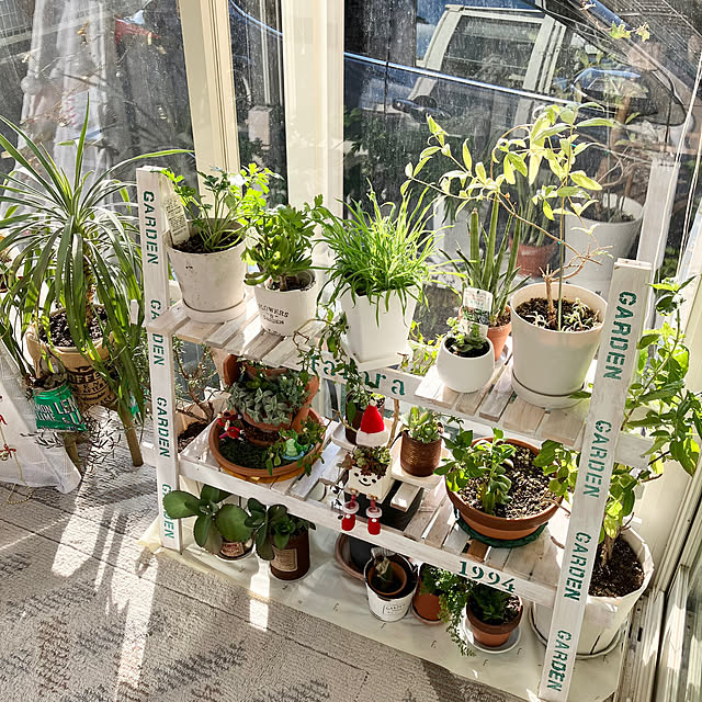 tararaさんの実例写真