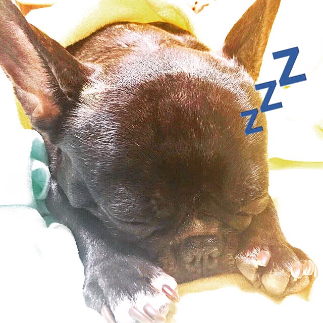 T..Nさんの実例写真