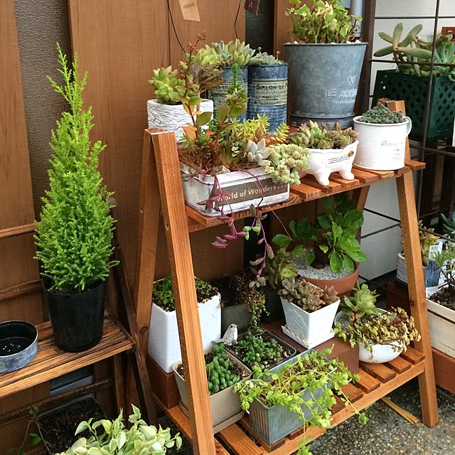 Kurehaさんの実例写真