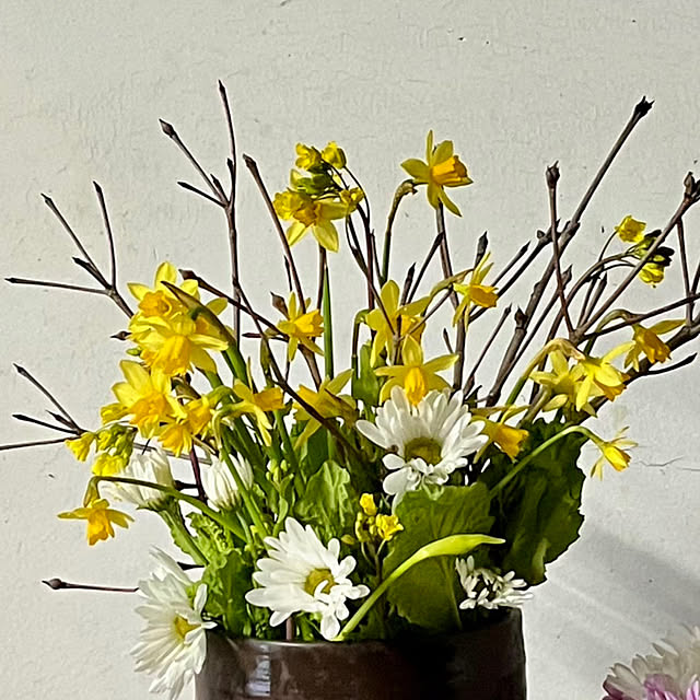 cotaさんの部屋