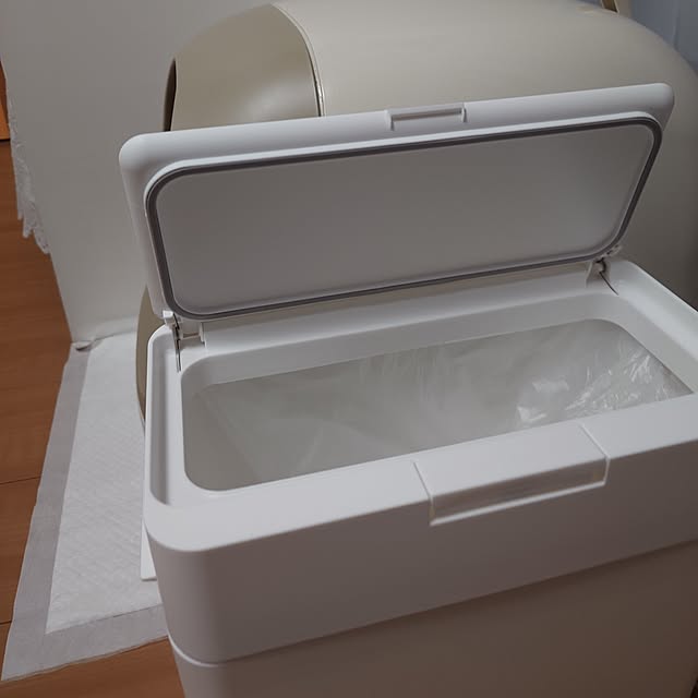 noguriさんの部屋