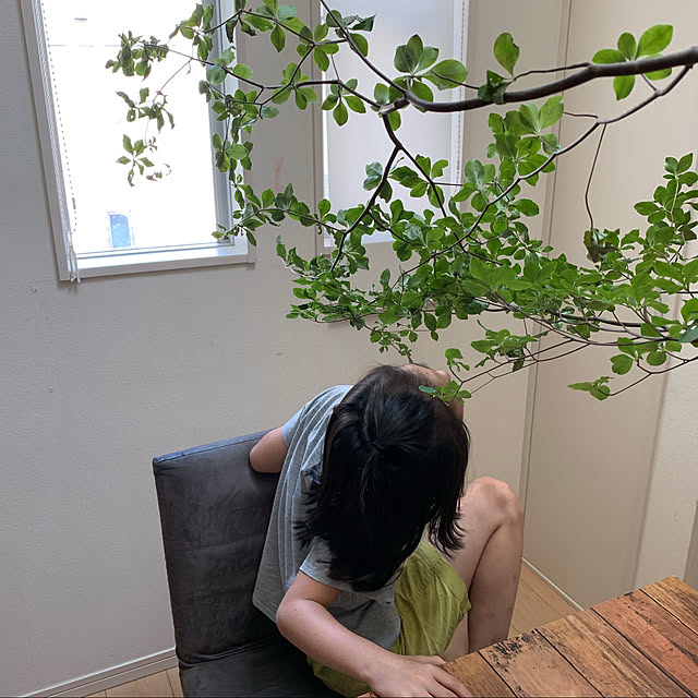 emiy_vさんの実例写真