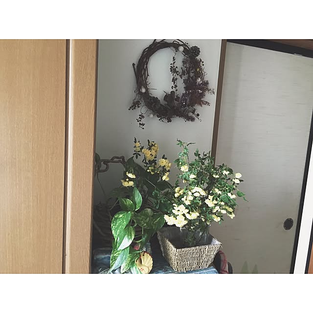 miho.さんの実例写真