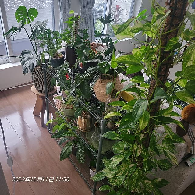saku2512さんの部屋