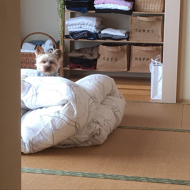 mayuoさんの実例写真