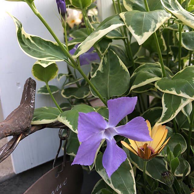 nakabaさんの実例写真