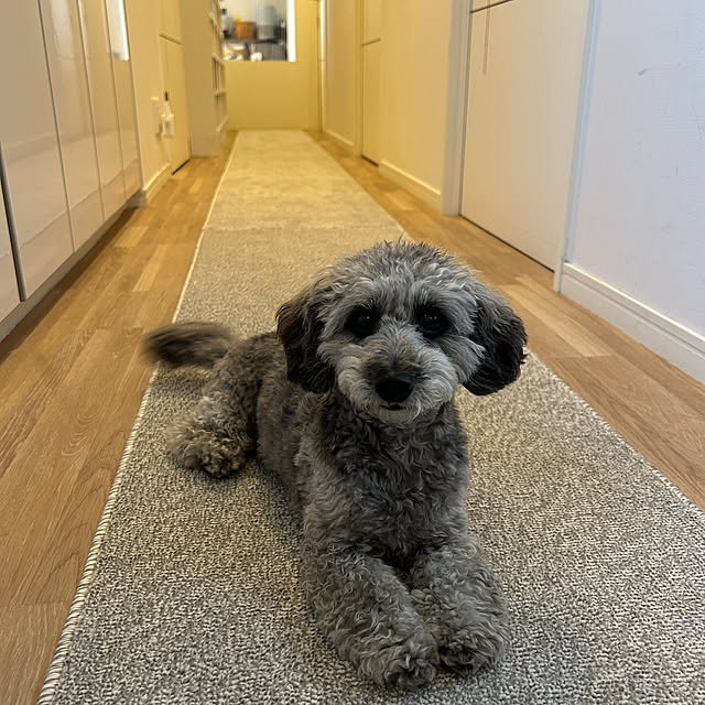 lalahさんの部屋