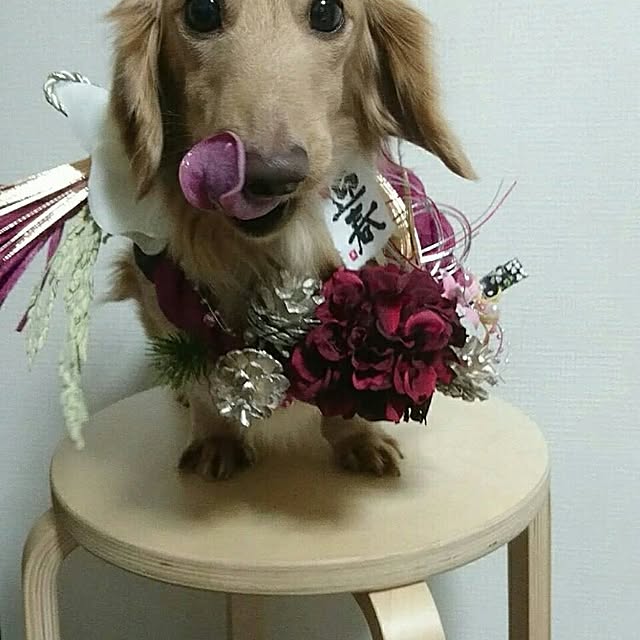 yasueさんの実例写真