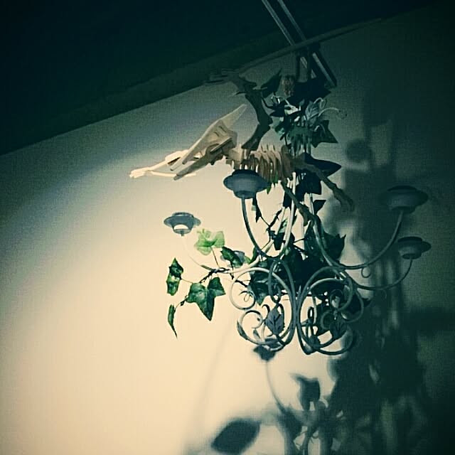 Mikuさんの実例写真