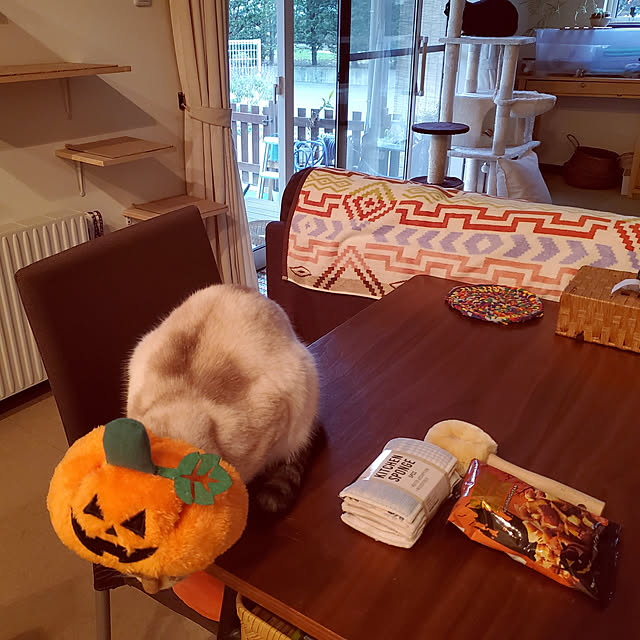 nanaさんの実例写真