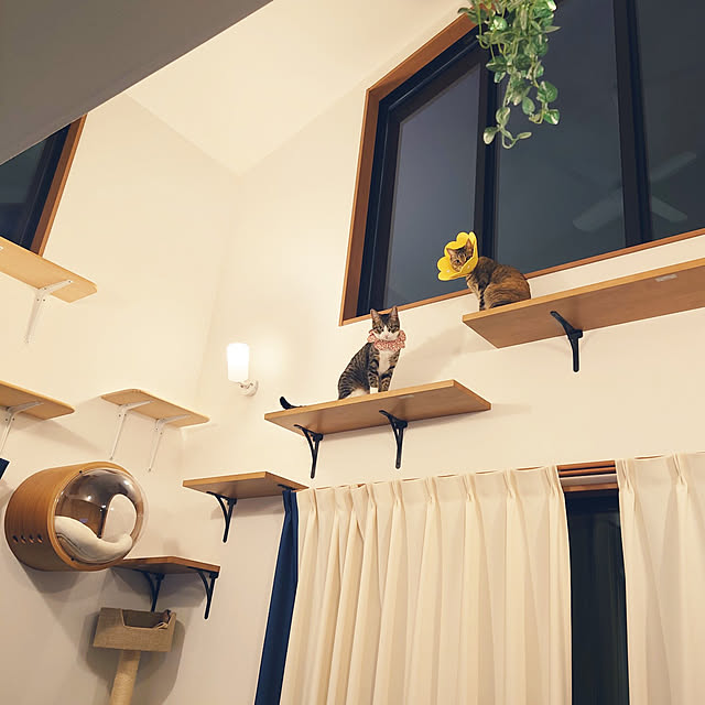 mochicoさんの実例写真