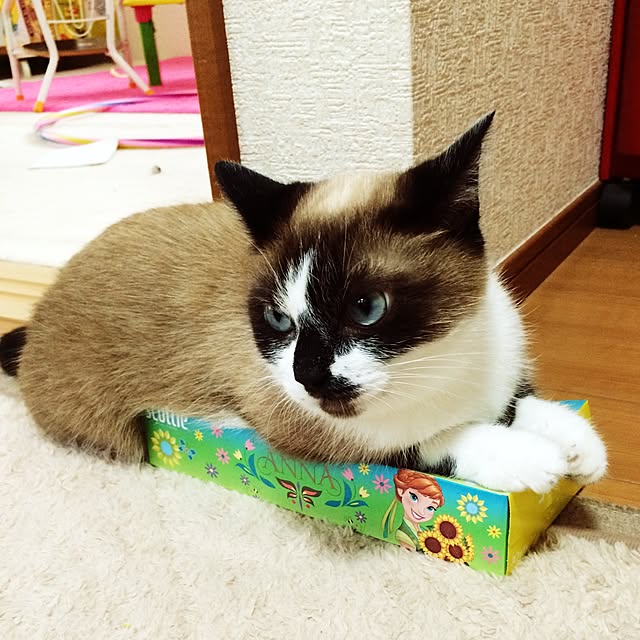 mari23さんの実例写真