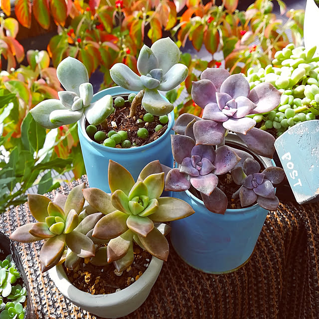 VERANDARJUNさんの実例写真