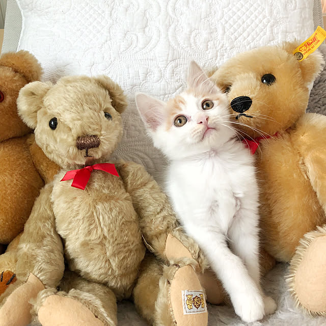 yuchiさんの実例写真