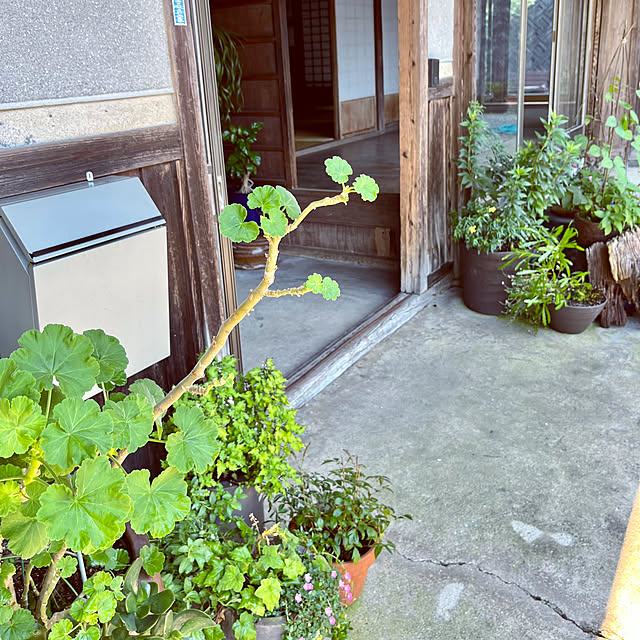 cota2さんの部屋