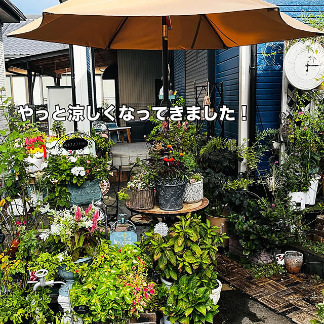 leonさんの実例写真