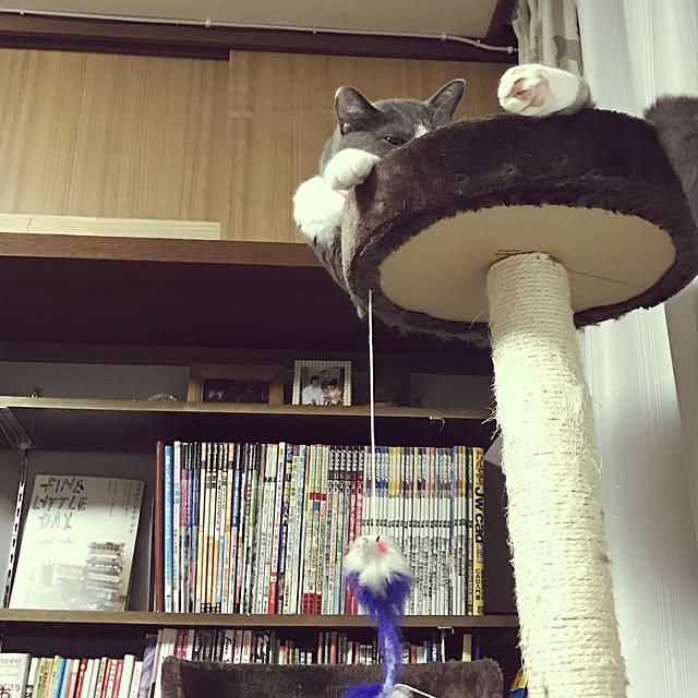 hacchiさんの実例写真
