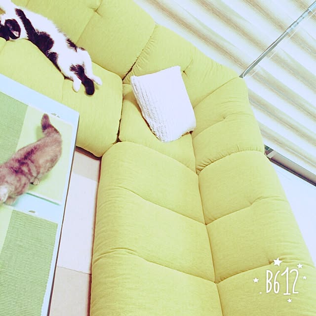 tajm93さんの実例写真