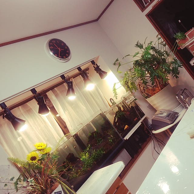 shs1019shsさんの実例写真