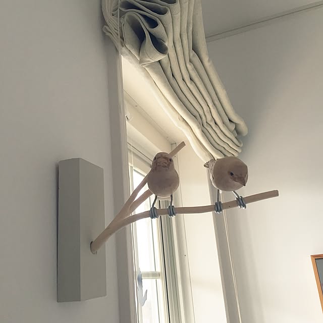 pariさんの実例写真