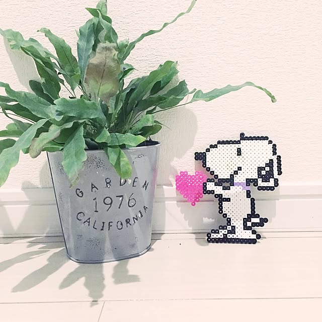 chiiitopさんの実例写真
