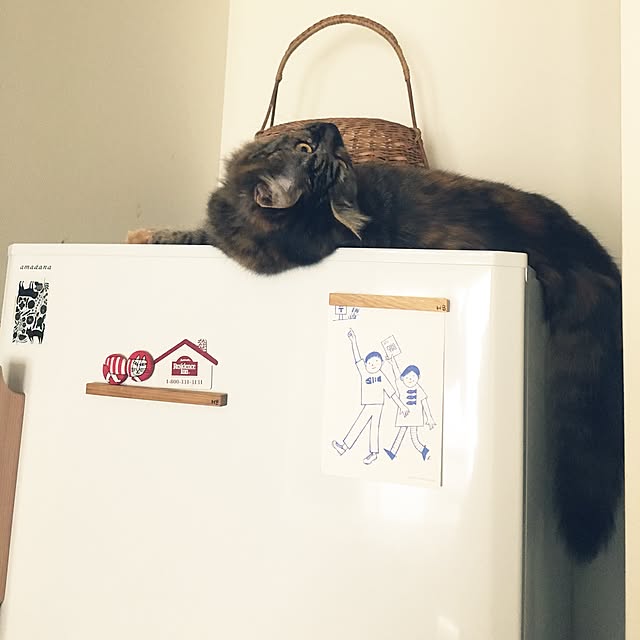 mikomaruさんの実例写真