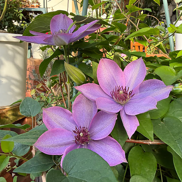 Aqettyさんの実例写真