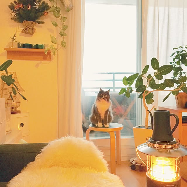 mangomilkさんの実例写真
