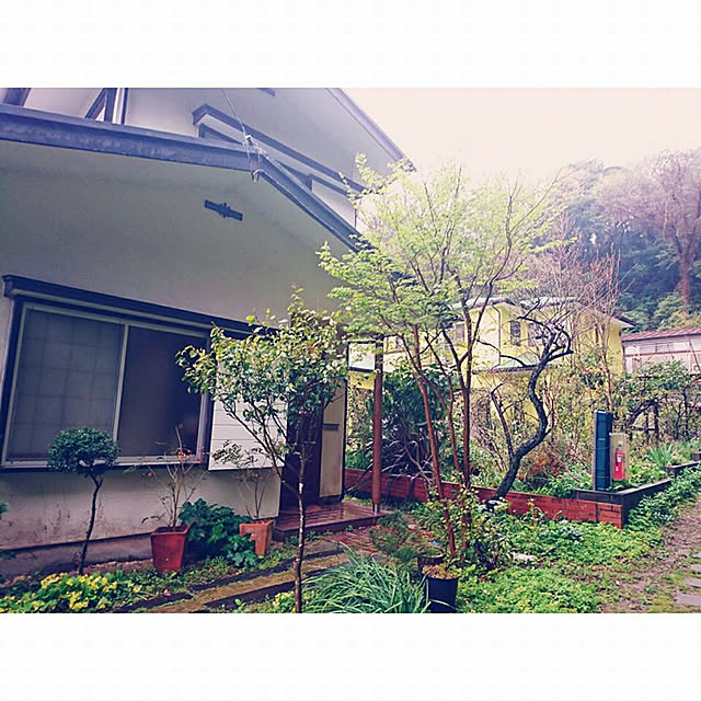 maosa1019さんの実例写真