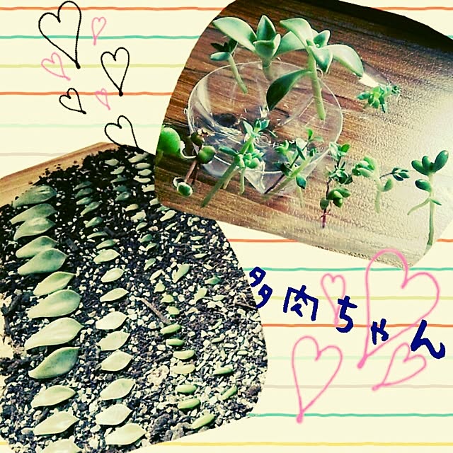 asuka.mさんの実例写真