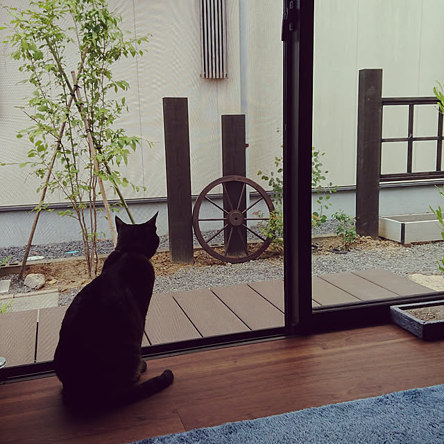 taka-kiさんの実例写真