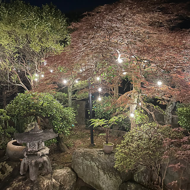 shin0719さんの実例写真