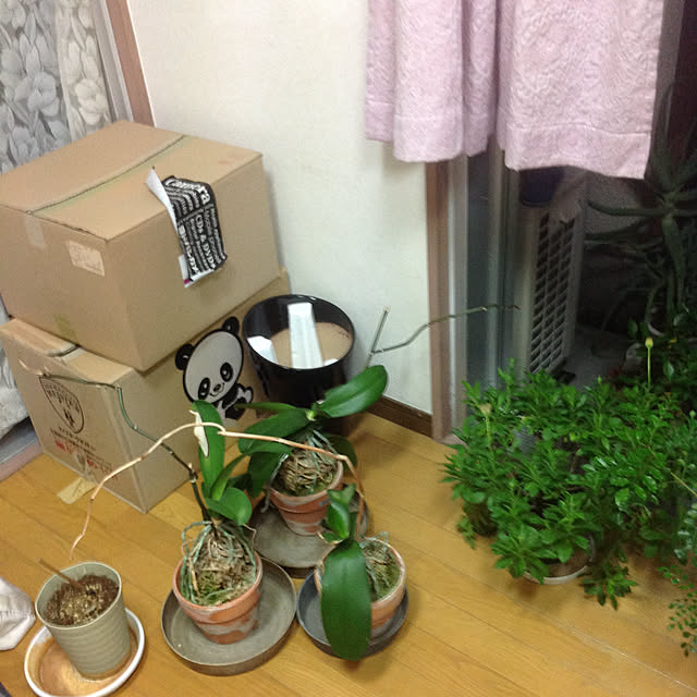 mikiandneneさんの実例写真