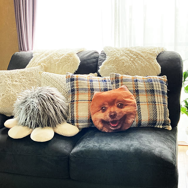 実例写真