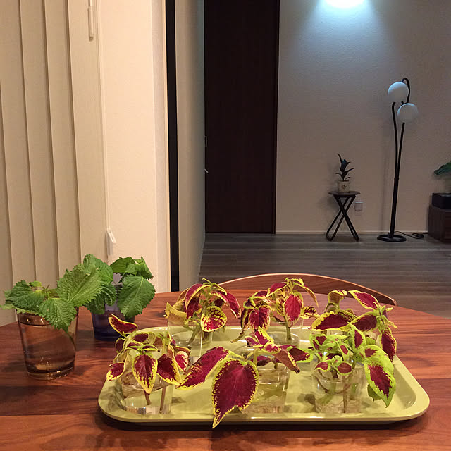 houenさんの実例写真