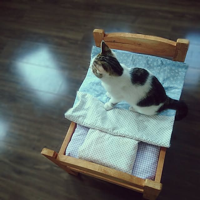 akikoさんの実例写真