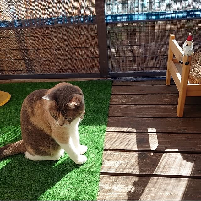 fukuさんの実例写真