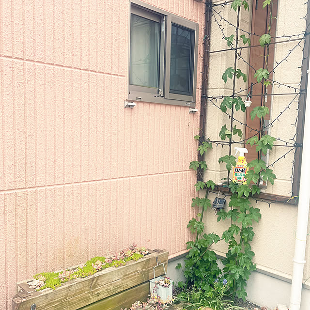 pekoさんの実例写真