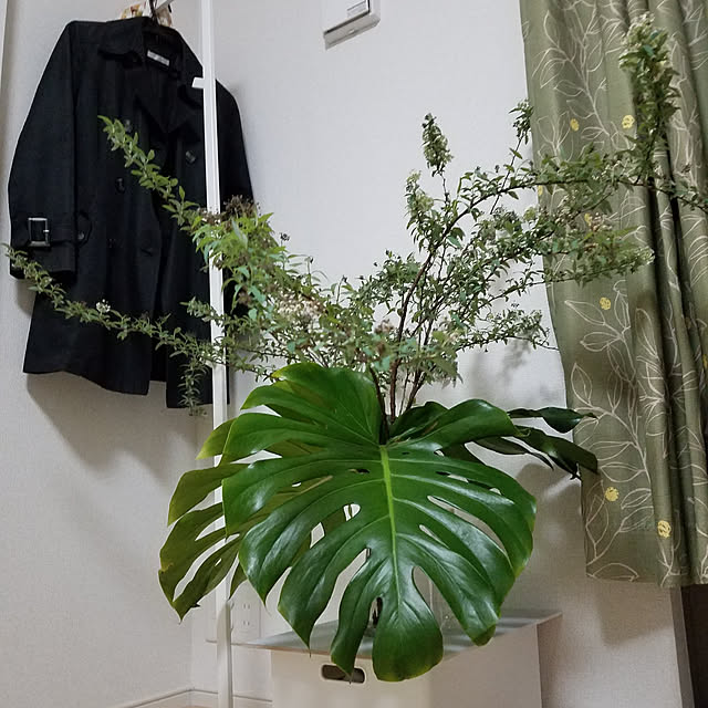 yubakoさんの実例写真