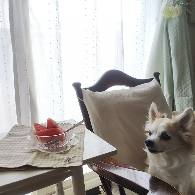 nonさんの実例写真