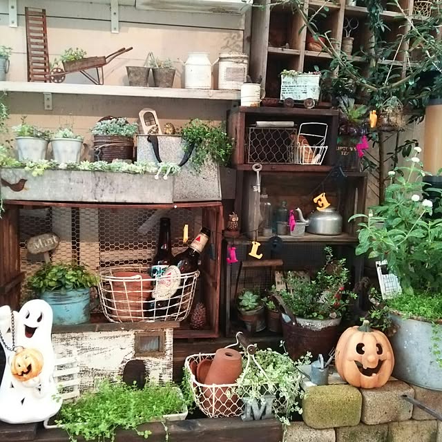 kokkomachaさんの実例写真