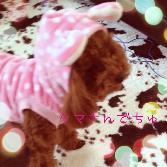 cocoさんの実例写真