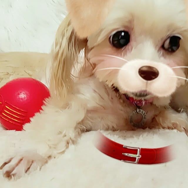 445Tさんの実例写真