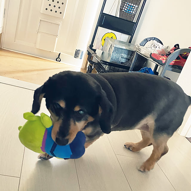 ohanaさんの実例写真